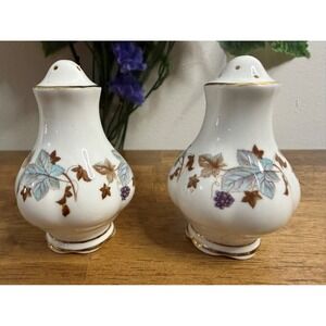 Vintage Royal Albert Lorraine Salt and Pepper Shakers Bone China England MCM